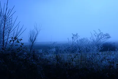 DSC_1030 (Large).JPG